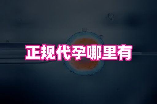 长沙助孕网 4